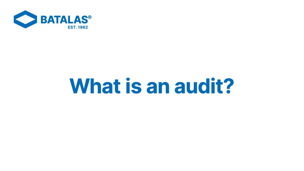 24 What is an audit Thumbnail