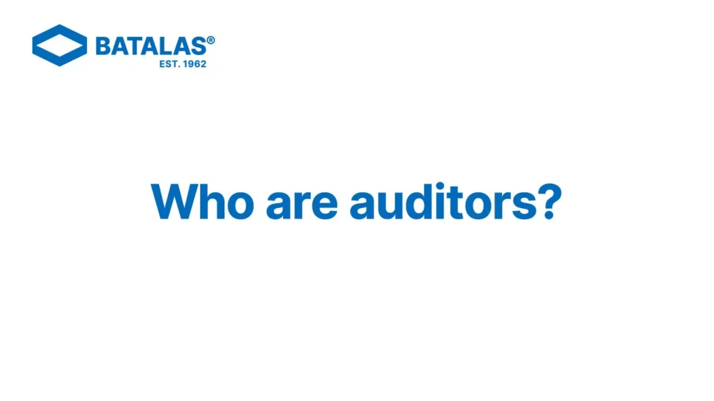 25 Who are auditors Thumbnail