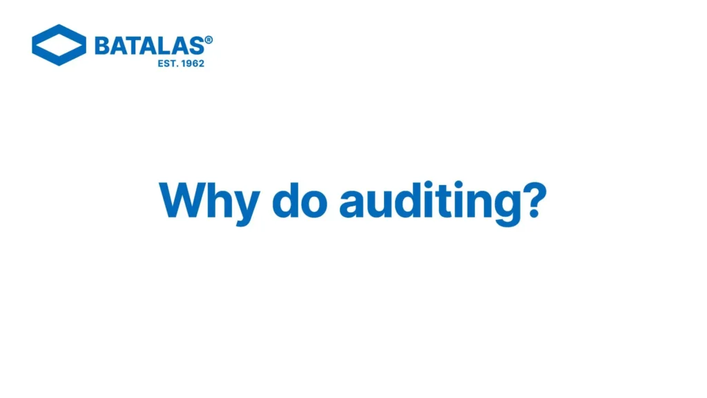 26 Why do auditing Thumbnail